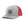 Load image into Gallery viewer, YDI SKATE SNAPBACK