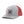 Load image into Gallery viewer, YDI SKATE SNAPBACK
